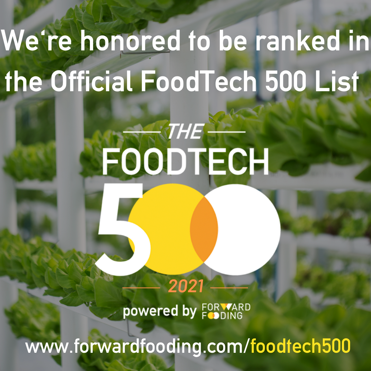 We made it! LST joins the FoodTech 500 elite
