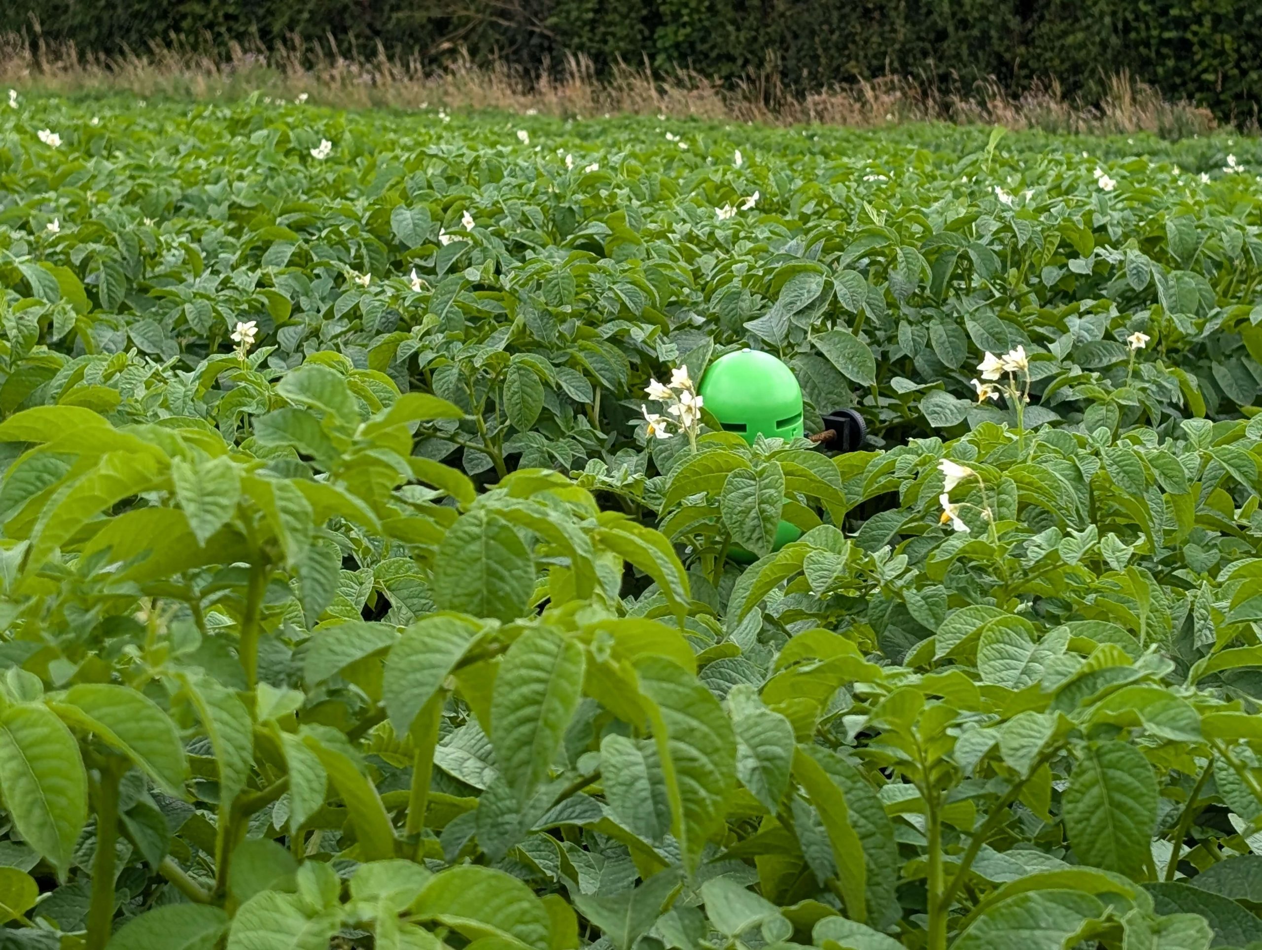 sensorGROW multi-sensor device