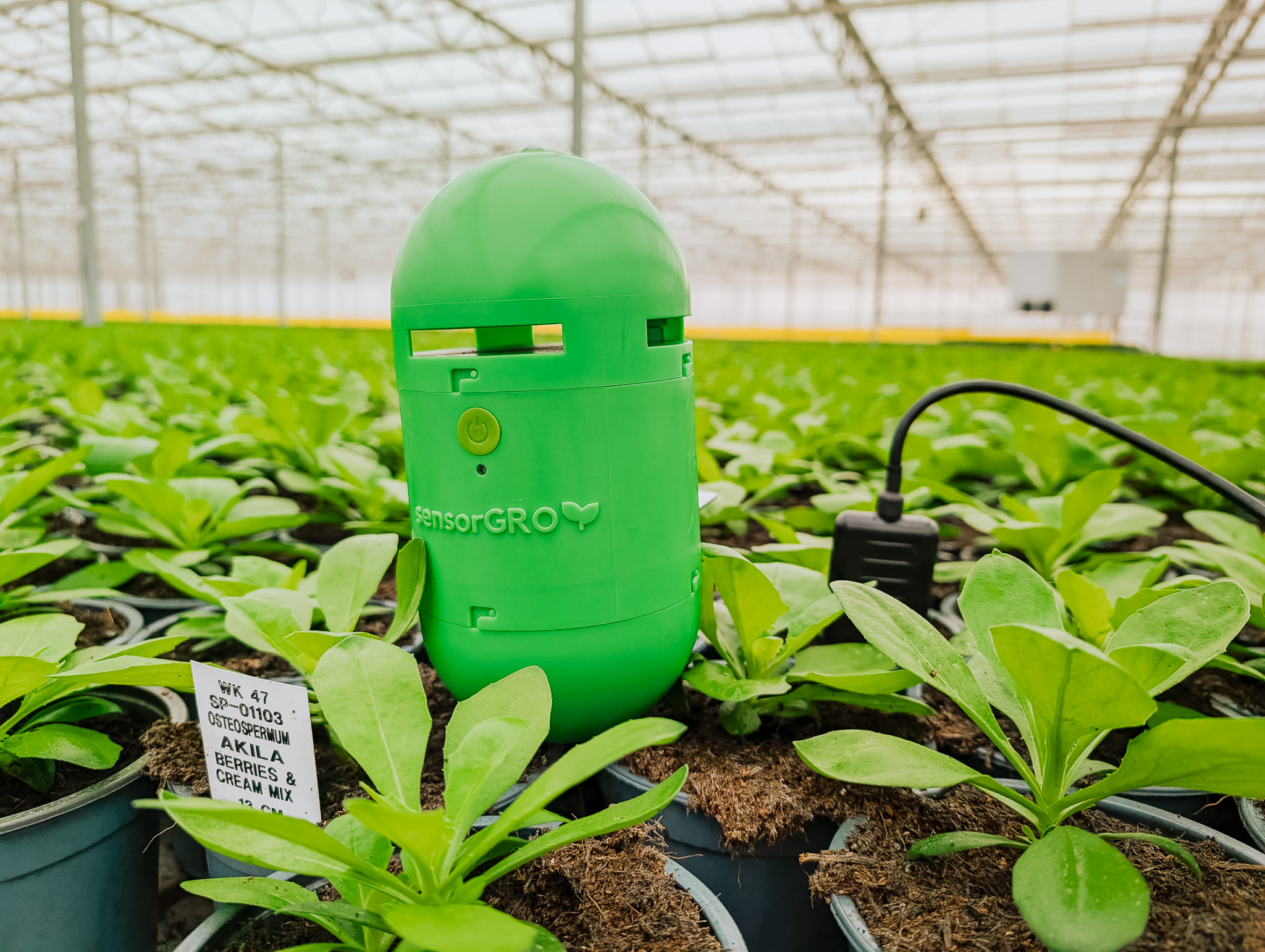 sensorGROW multi-sensor device